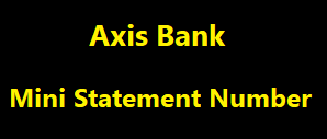 Axis Bank Mini Statement, Axis Bank Mini Statement Number 2024