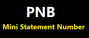PNB Mini Statement, PNB Bank Mini Statement Download by Missed Call, ATM, SMS & etc